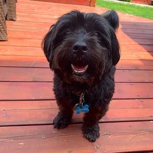 Meet your Posher, Caitlin